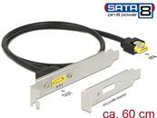 Support à fente SATA 6 Gb/s femelle interne > SATA mâle 8 broches alimentation externe 60 cm